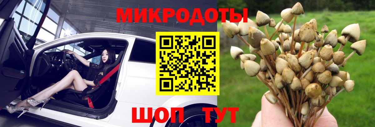 Орск  Галлюциногенные грибы Psilocybine cubensis  Вход с VPN 
